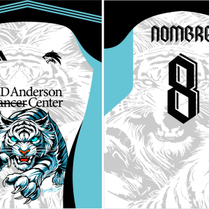 Tiger Interclasse II 2025