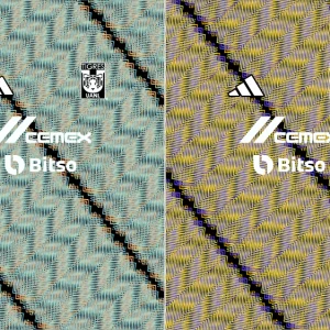 Tigres UANL Extra 25