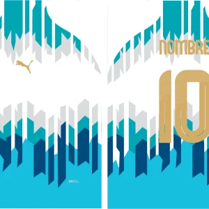 White and Turquoise Asian Design