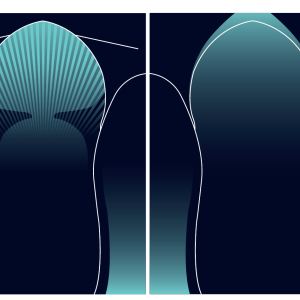 Zhouka Degradado Azul