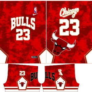 Chicago Bulls Concept VS26