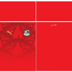 Egipto Home Kit World Cup 26