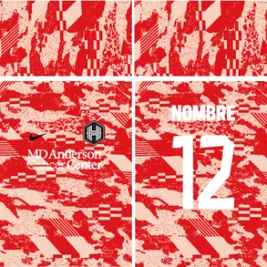 Houston Dash Portero 26