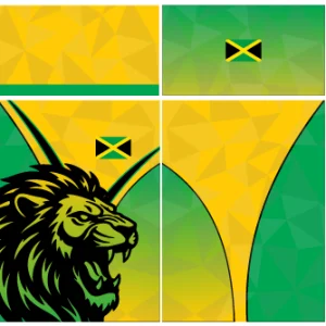 Jamaica Jersey León 26