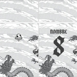Jersey dragon gris VS26