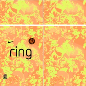 Portland Thorns Home Kit 26