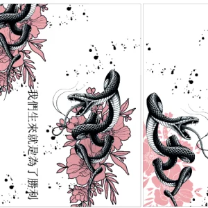 Serpiente Coral Interclasse