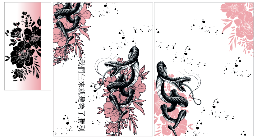 Serpiente Coral Interclasse