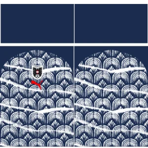 Austria Pre-match 26